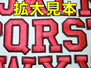 ̓sN~GW̊g匩{ł